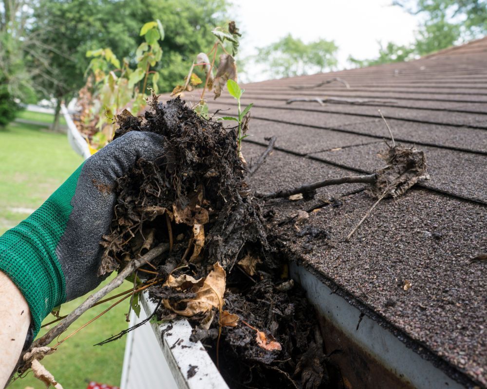gutter cleaning