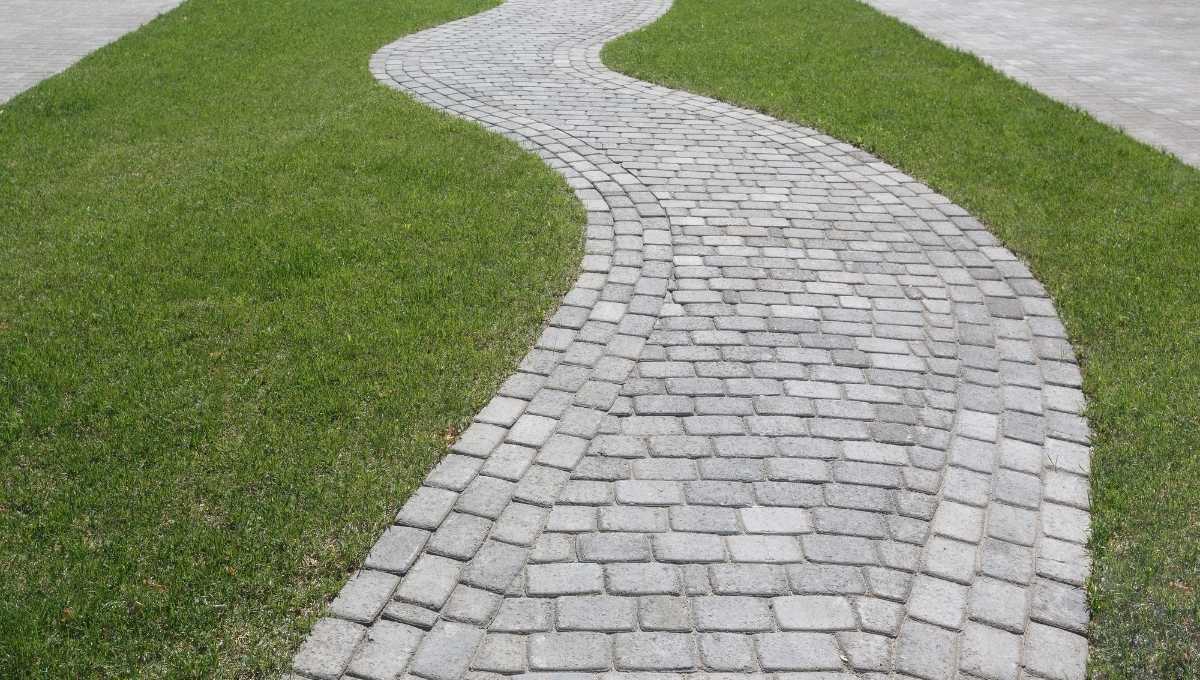 Best Paving Contractors Central Coast Near Me