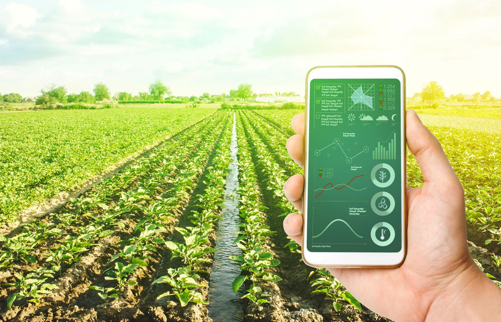 INNOVAGRO R&M