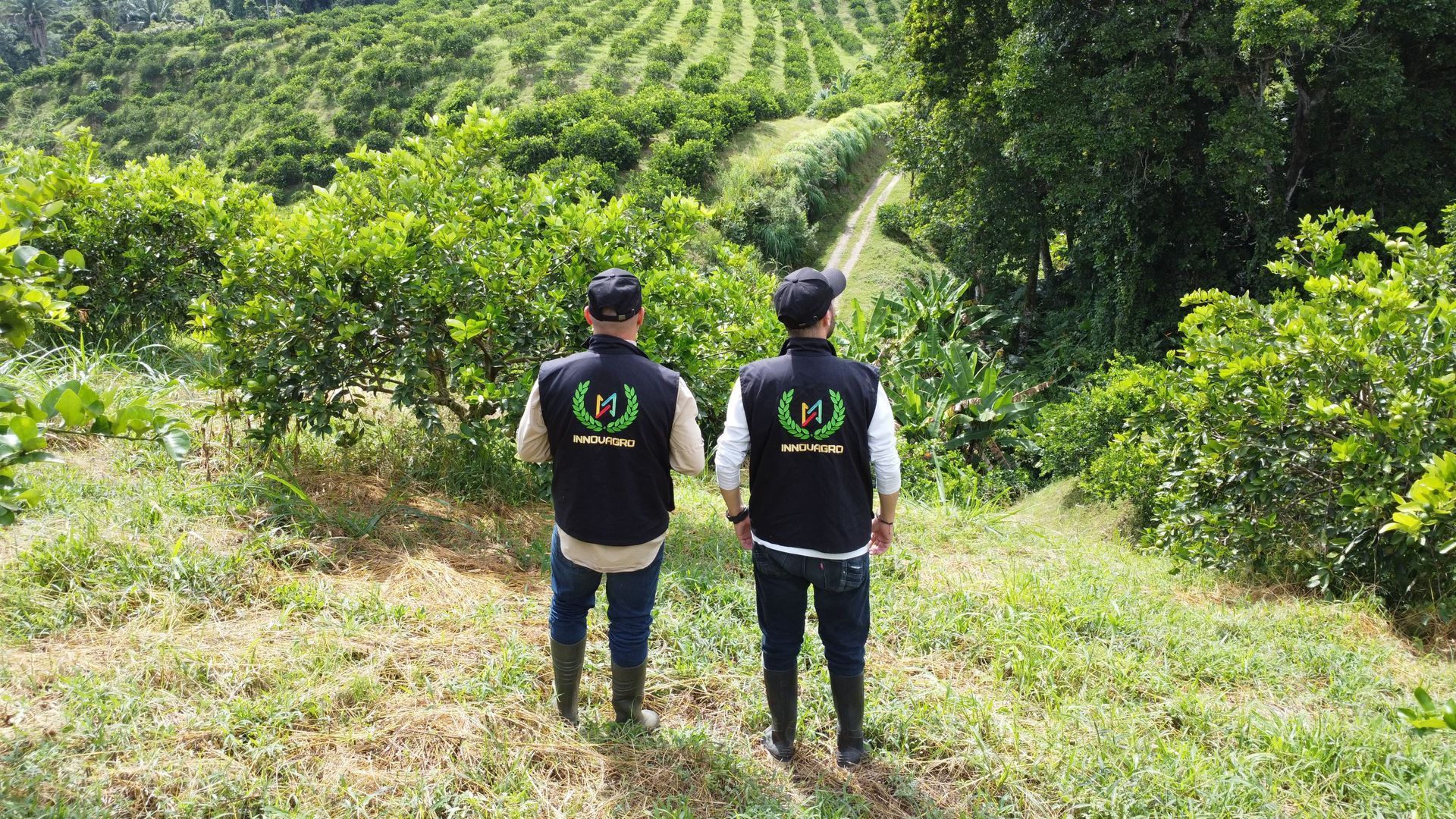 INNOVAGRO R&M