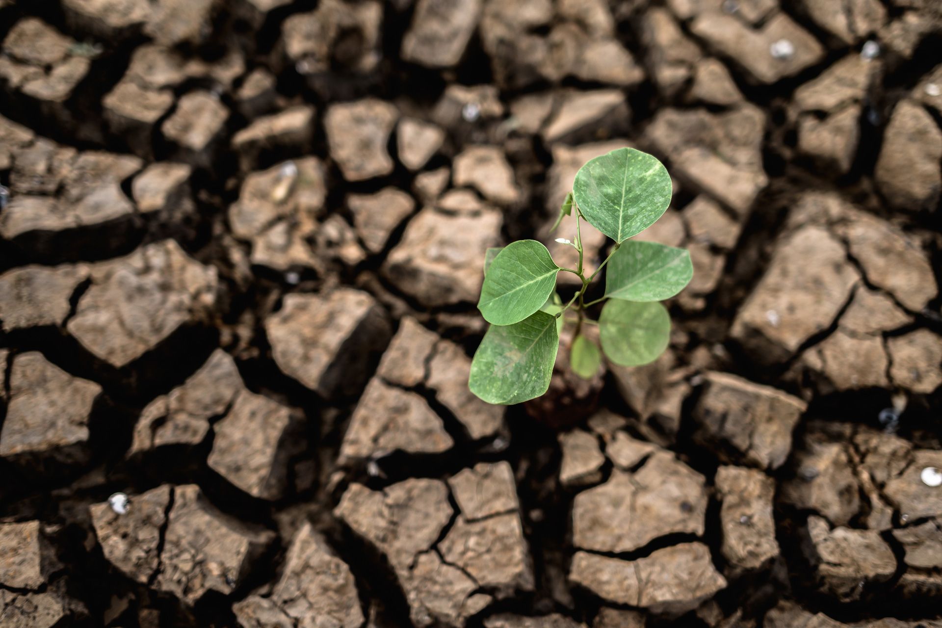INNOVAGRO R&M