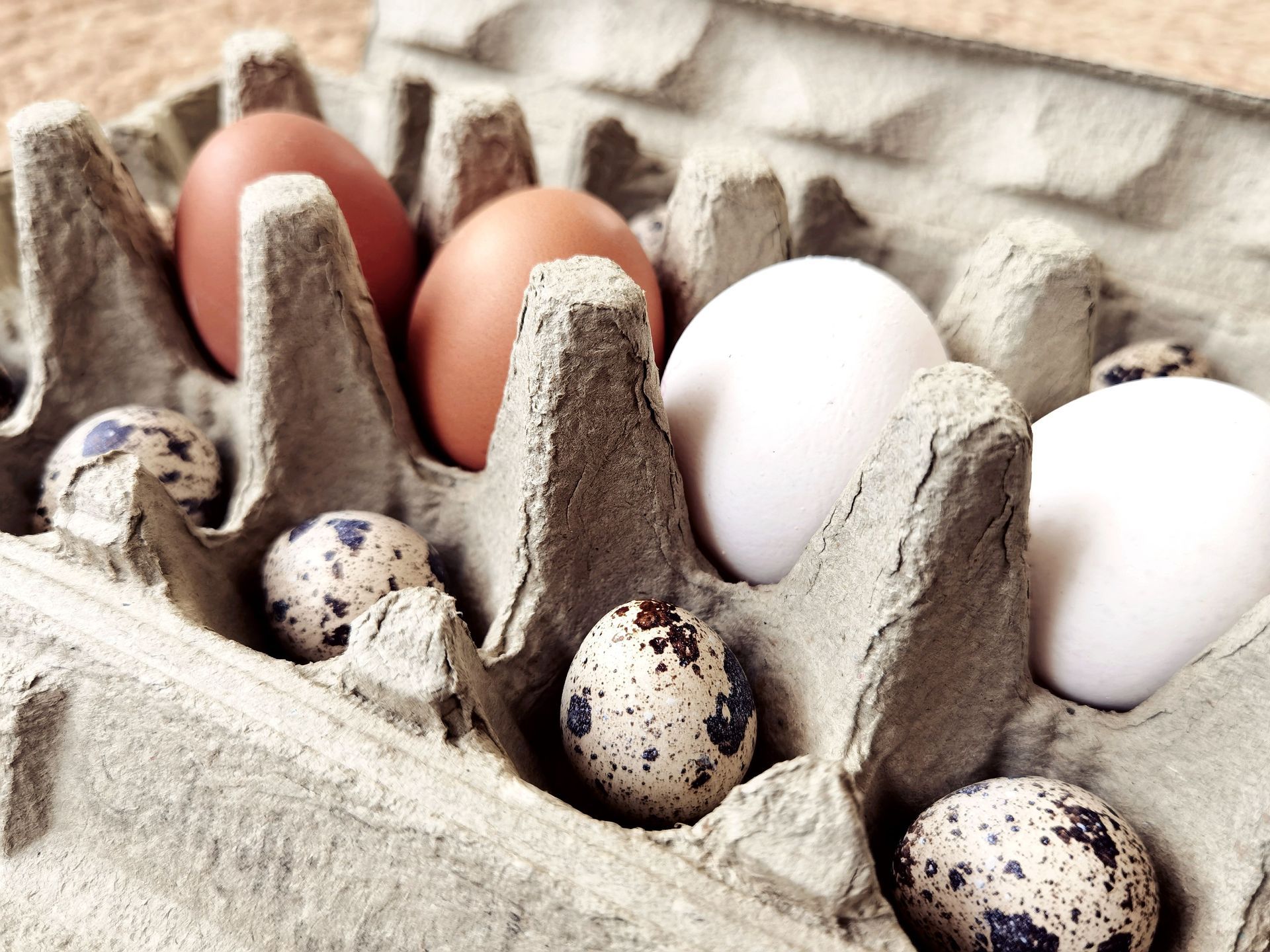 Assorted white and speckled eggs in a cardboard egg carton