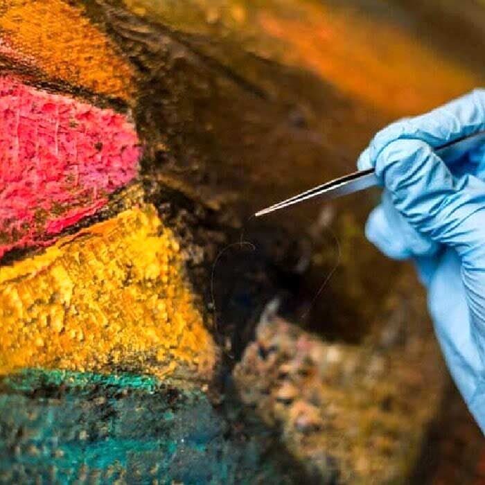 ESTUDIO DE ARTE COYOACÁN -  Estudio de Arte 
