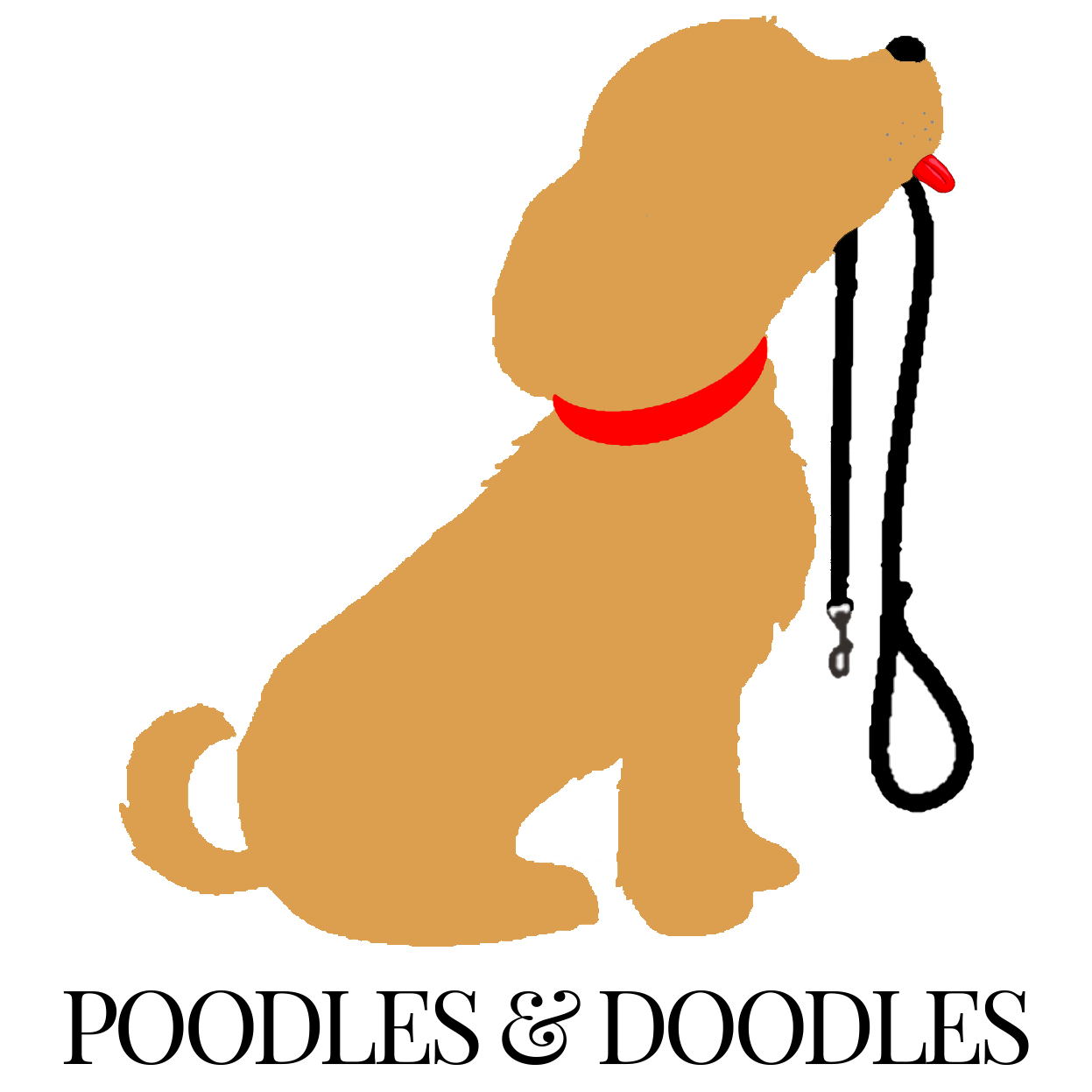 home logo