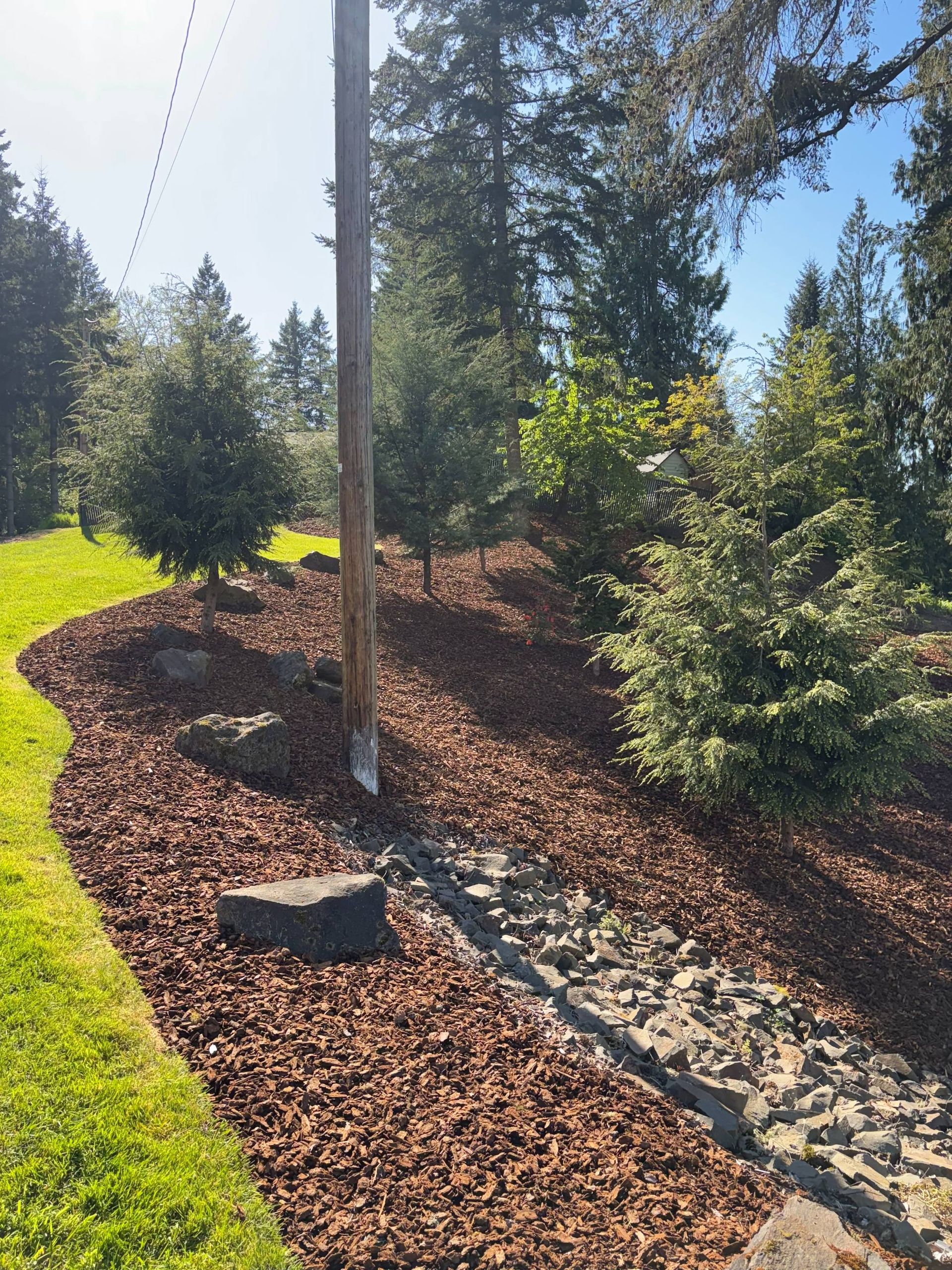Mulched landscaping bed with young trees, a utility pole, and a stone border beside a grassy slope