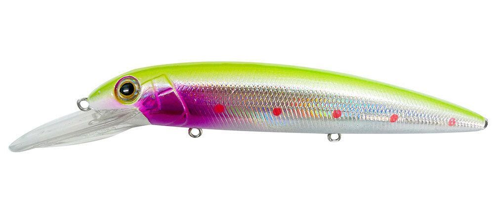 Judge