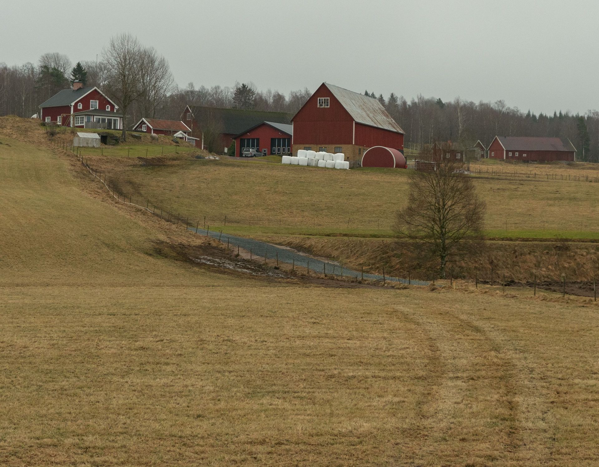 Rural farmstead with red barns on a grassy hill under a gray sky