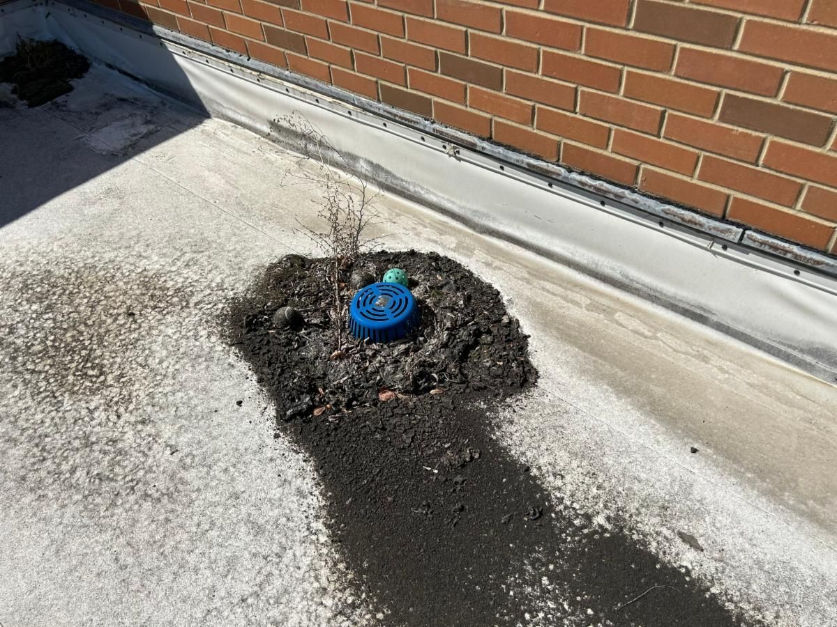 Plugged drain cap on the roof of a brick building, with a dark wet streak spreading across the ground