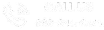 Illustration of a phone ringing with a visible contact number, signaling a call option for customer service.