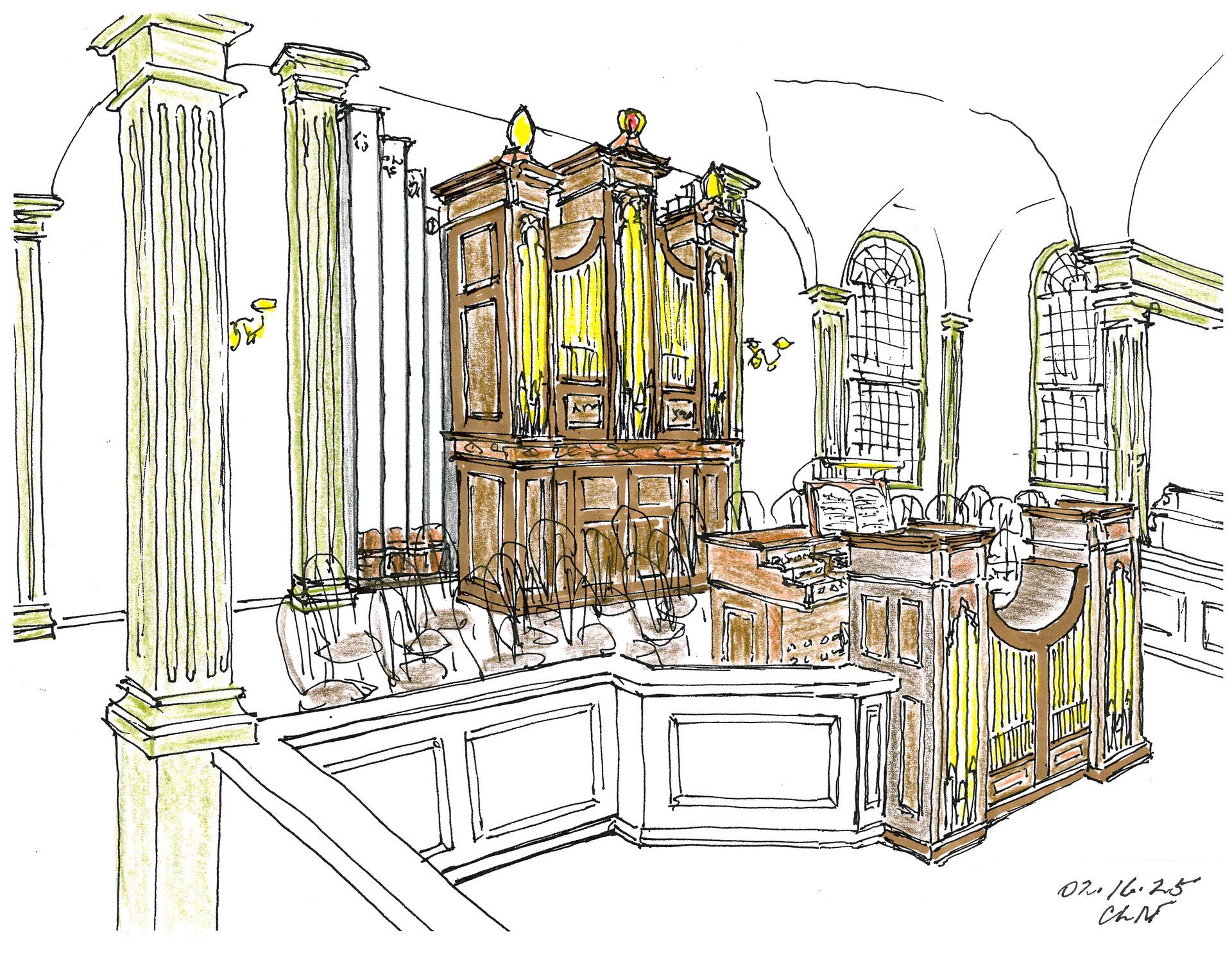 organ