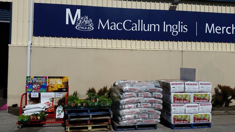 A Maccallum Inglis Store With Pallets of Plants in Front of It — MacCallum & Company In Scone, NSW