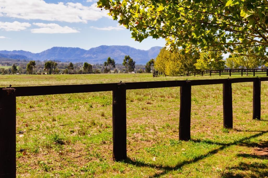 A Wooden Fence Surrounds a Grassy Field With Mountains — MacCallum & Company In Murrurundi, NSW