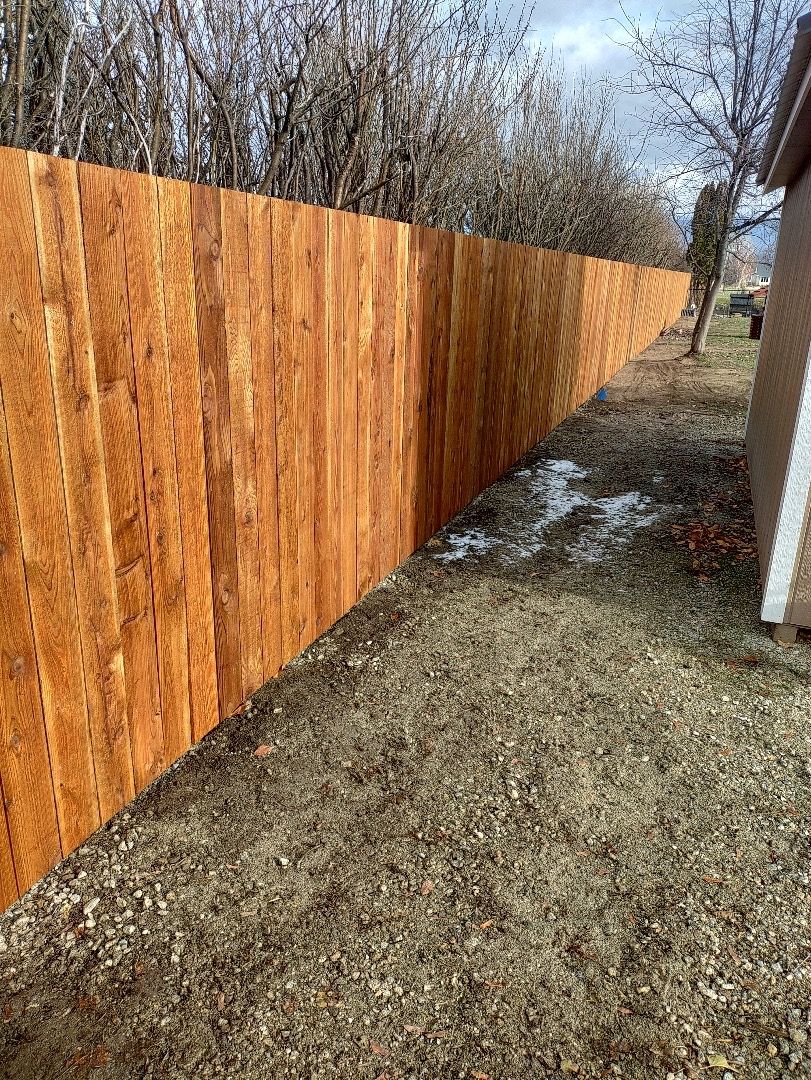 Wooden fence stained orange, dividing yard from a background of trees.