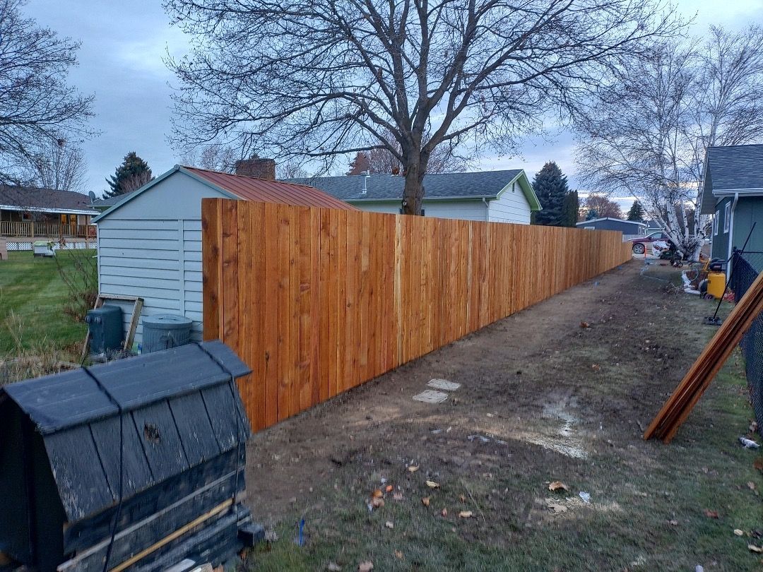 Wooden fence in a yard, extending from a dark shed. Houses and bare trees in the background.