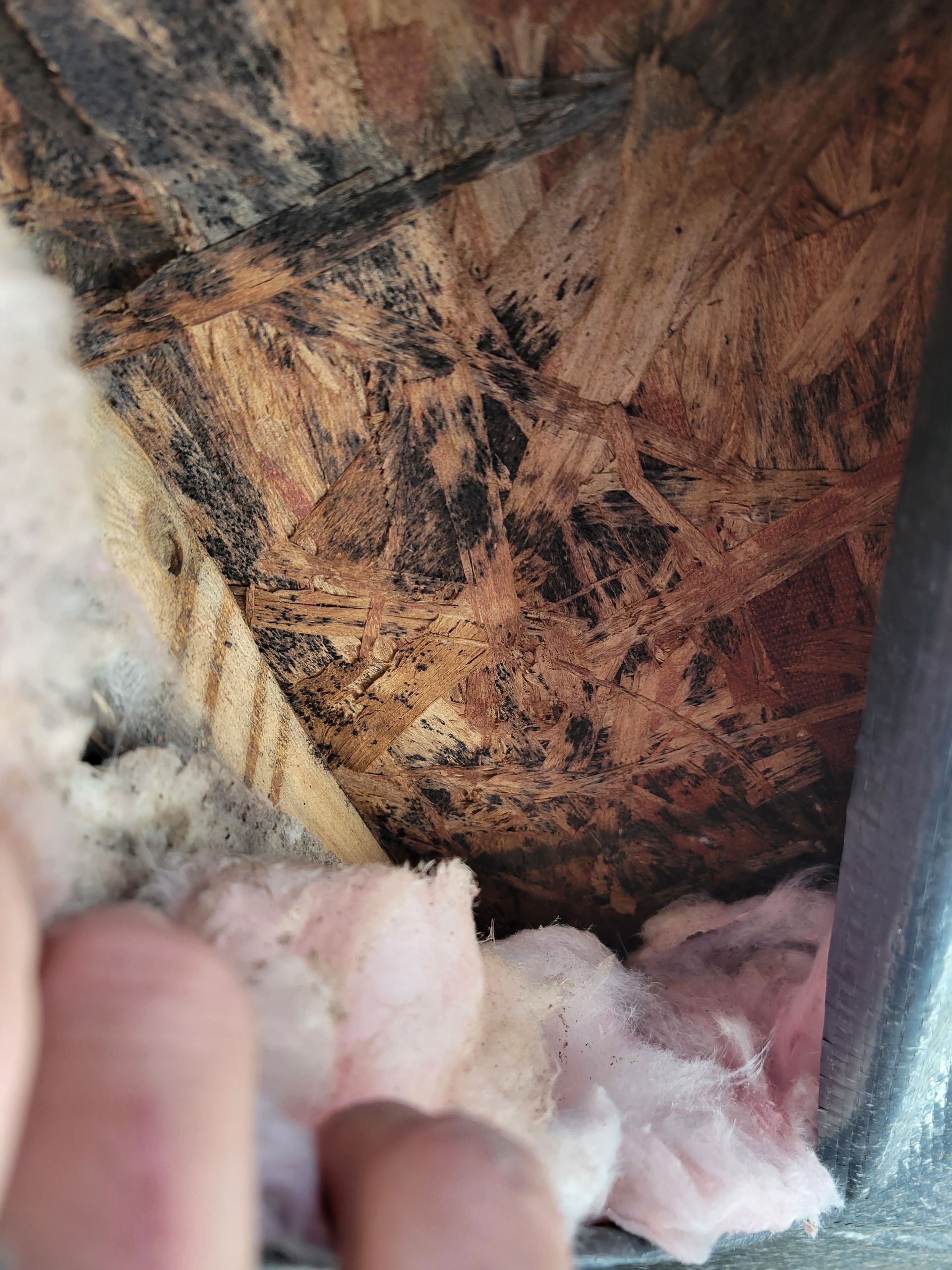 Insulated wall cavity with wood framing, dark stains, and pink fiberglass insulation at the bottom