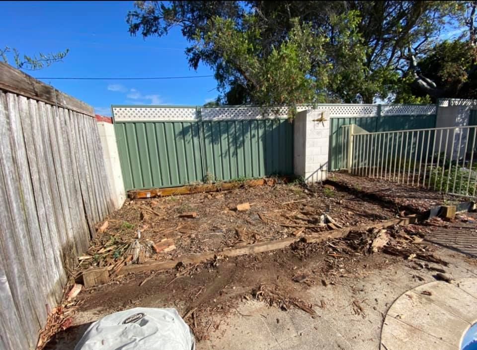A dirt yard with a green fence and a tree in the background.