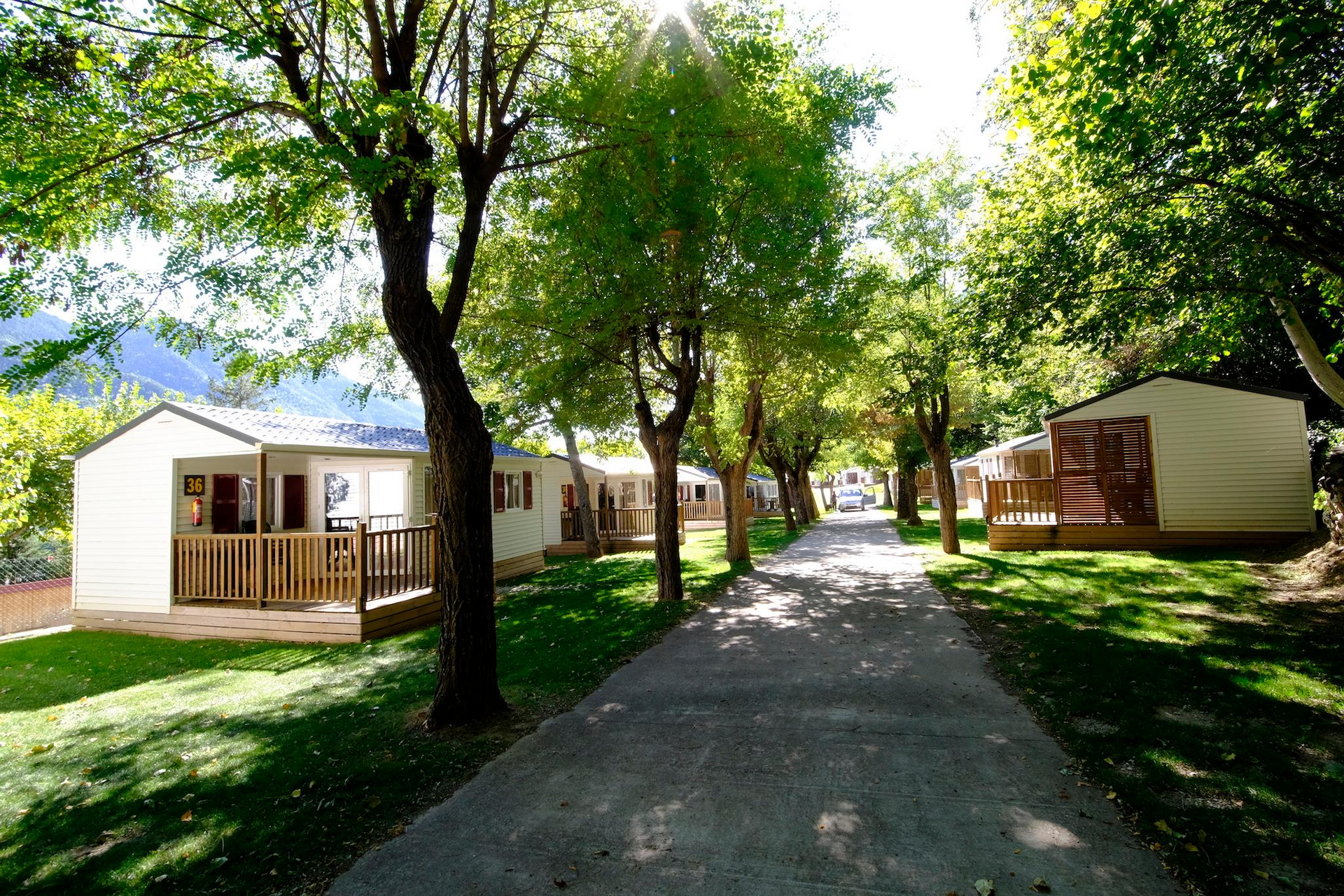 Hilera de cabañas con terrazas de madera a lo largo de un sendero pavimentado, a la sombra de los árboles, en un día soleado.