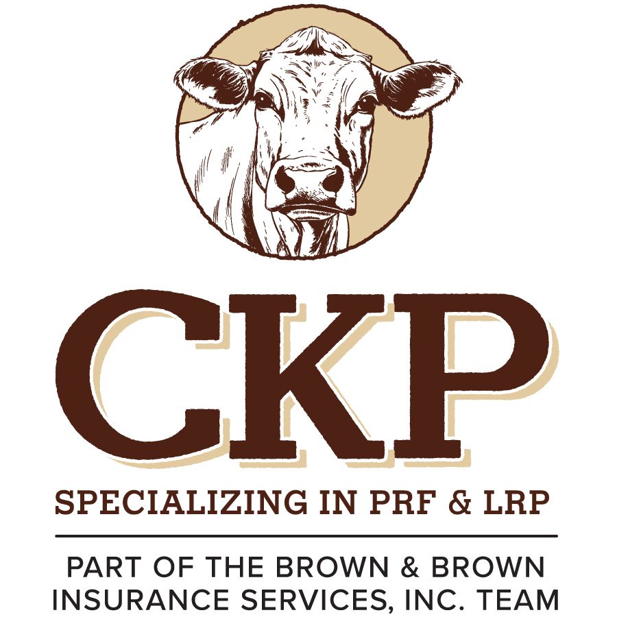 CKP