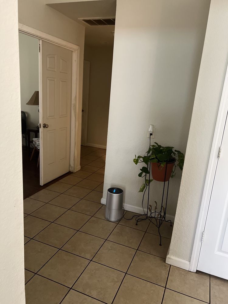Empty tiled hallway with an open white door, a potted plant, and a small trash can against the wall.