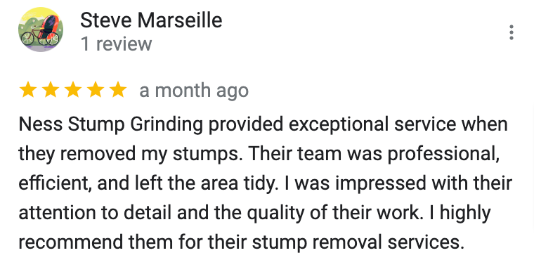 stump grinding online review in Atlanta