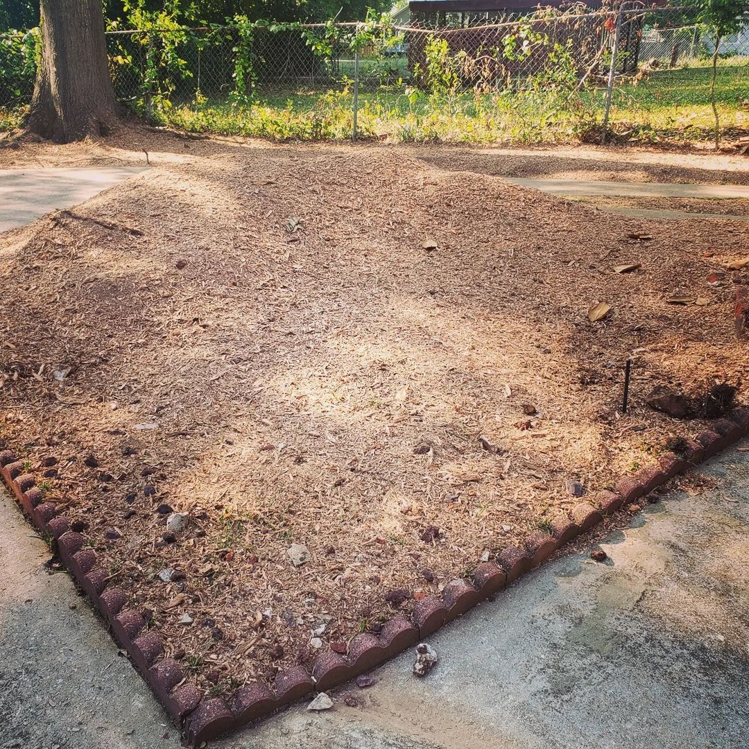 stump grind or stump removal atlanta