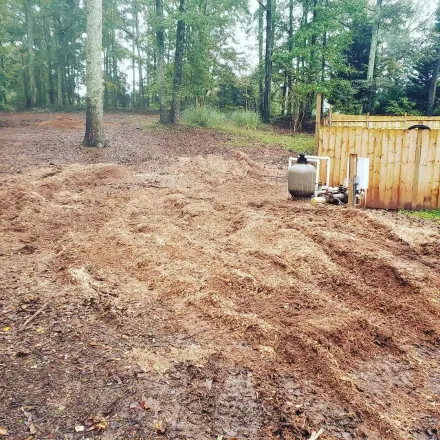 stump removal completely