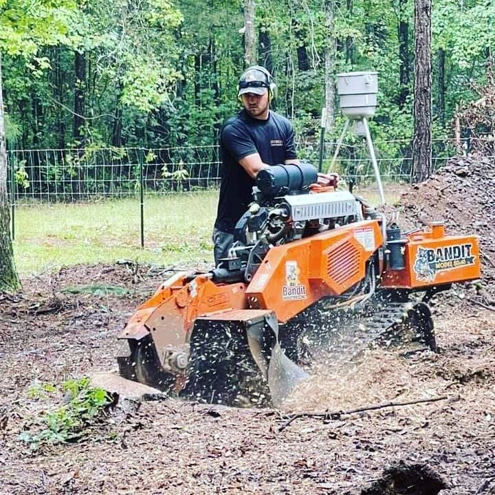 stump grinding atlanta