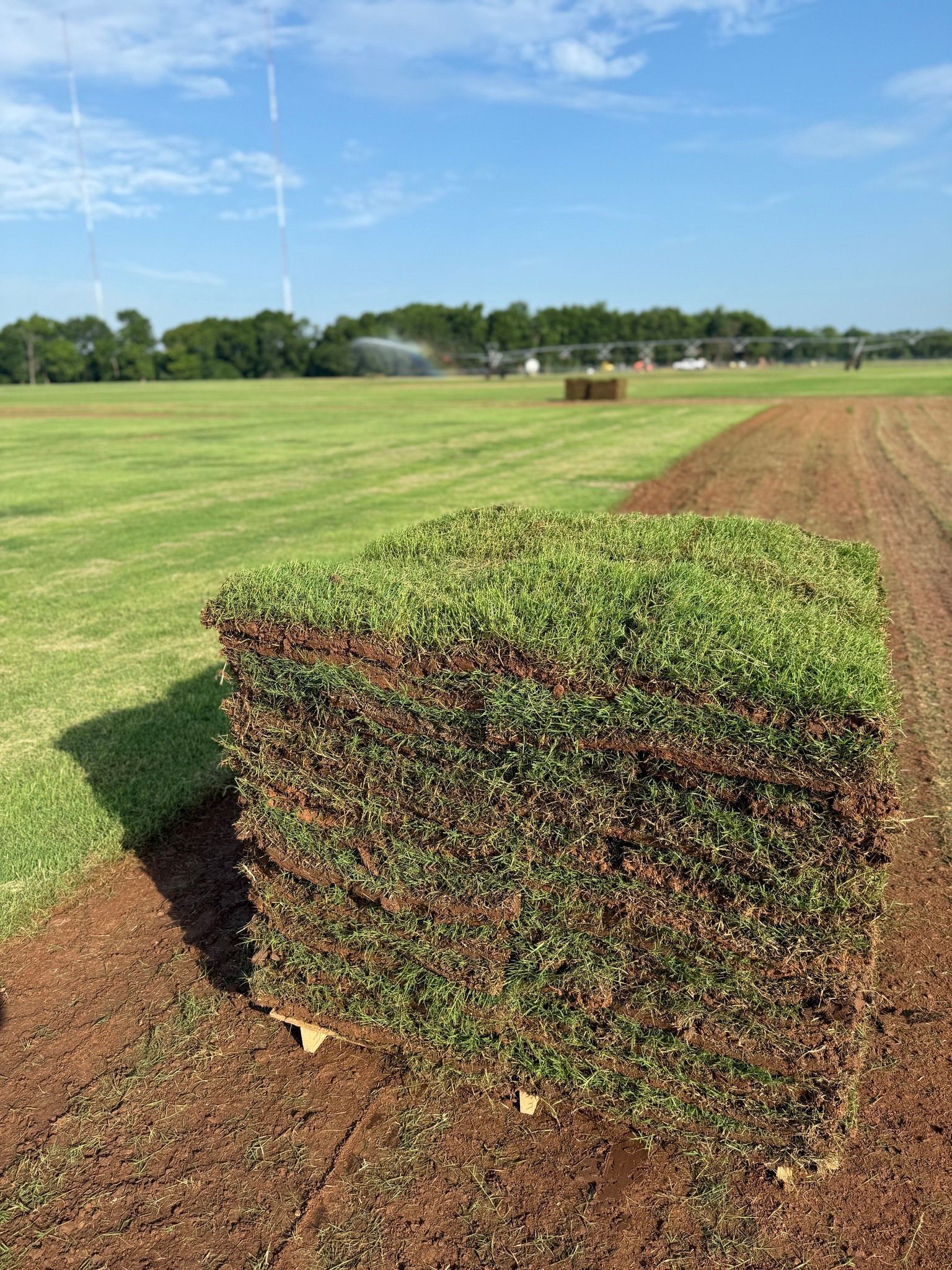 Square bale of sod on a dirt path in a field; sprinkler in background, green grass, blue sky.