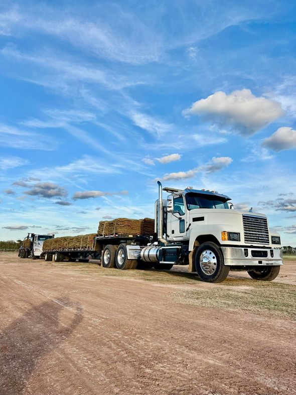 White semi-truck hauling hay on a flatbed trailer on a dirt road under a blue sky with clouds.
