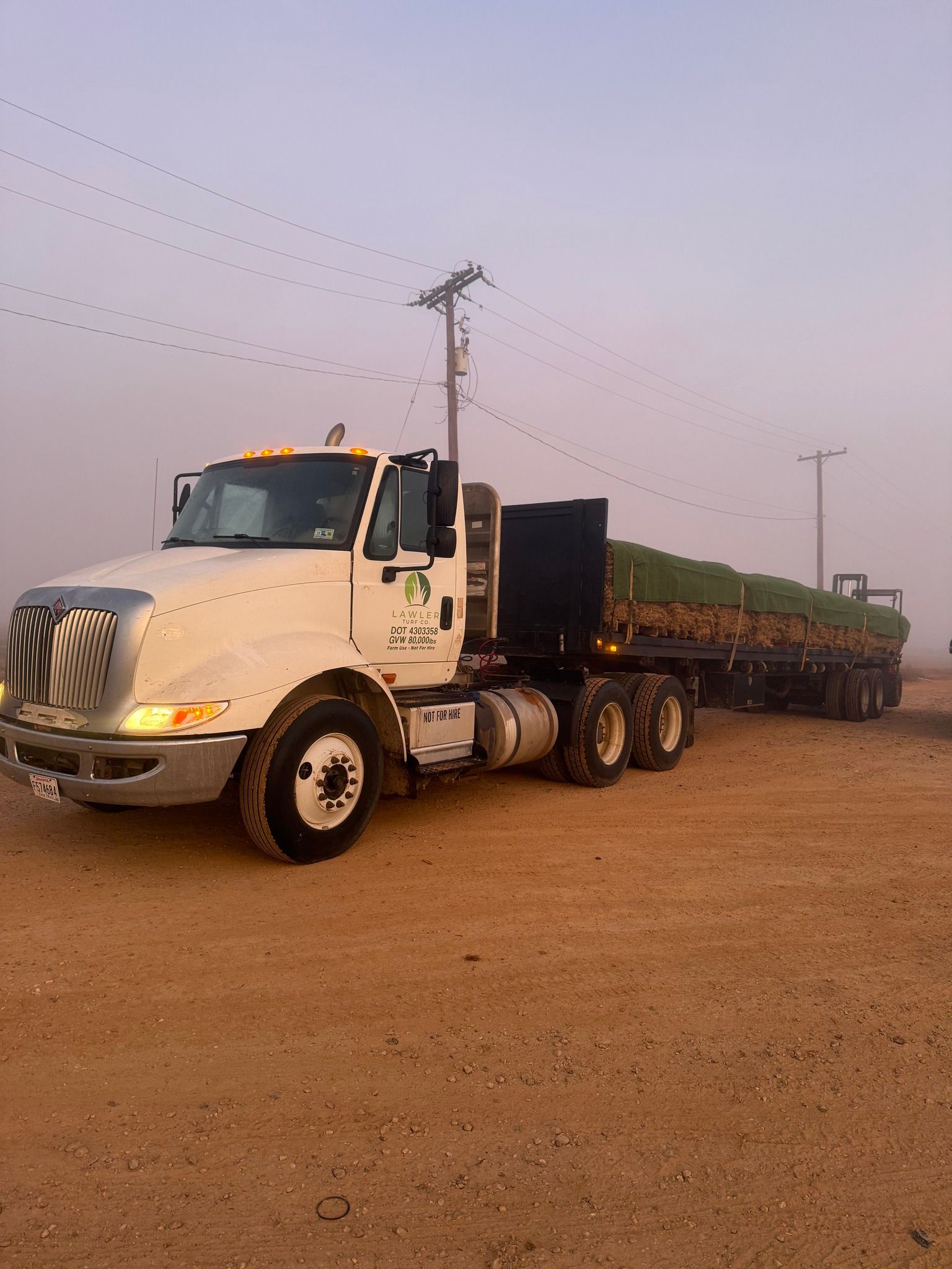 White semi-truck with trailer transporting green logs on a dusty road under a hazy sky.