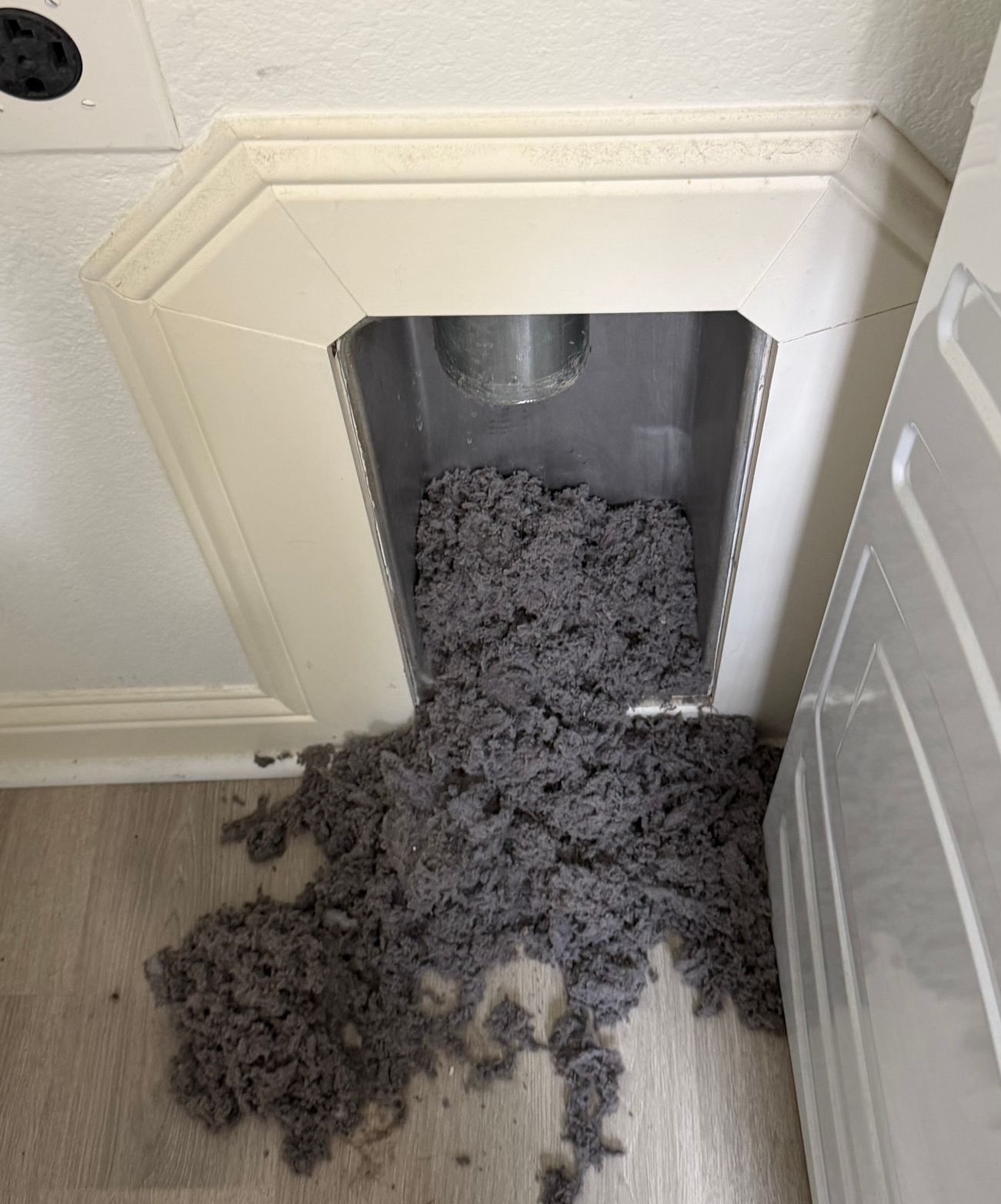 Gray cat litter spilled from a wall-mounted litter box onto a wood floor.
