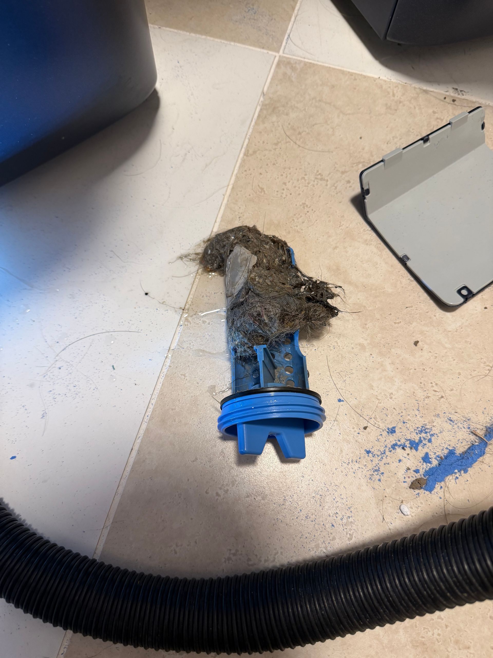 Broken blue vacuum part on tile floor with debris and detached hose nearby