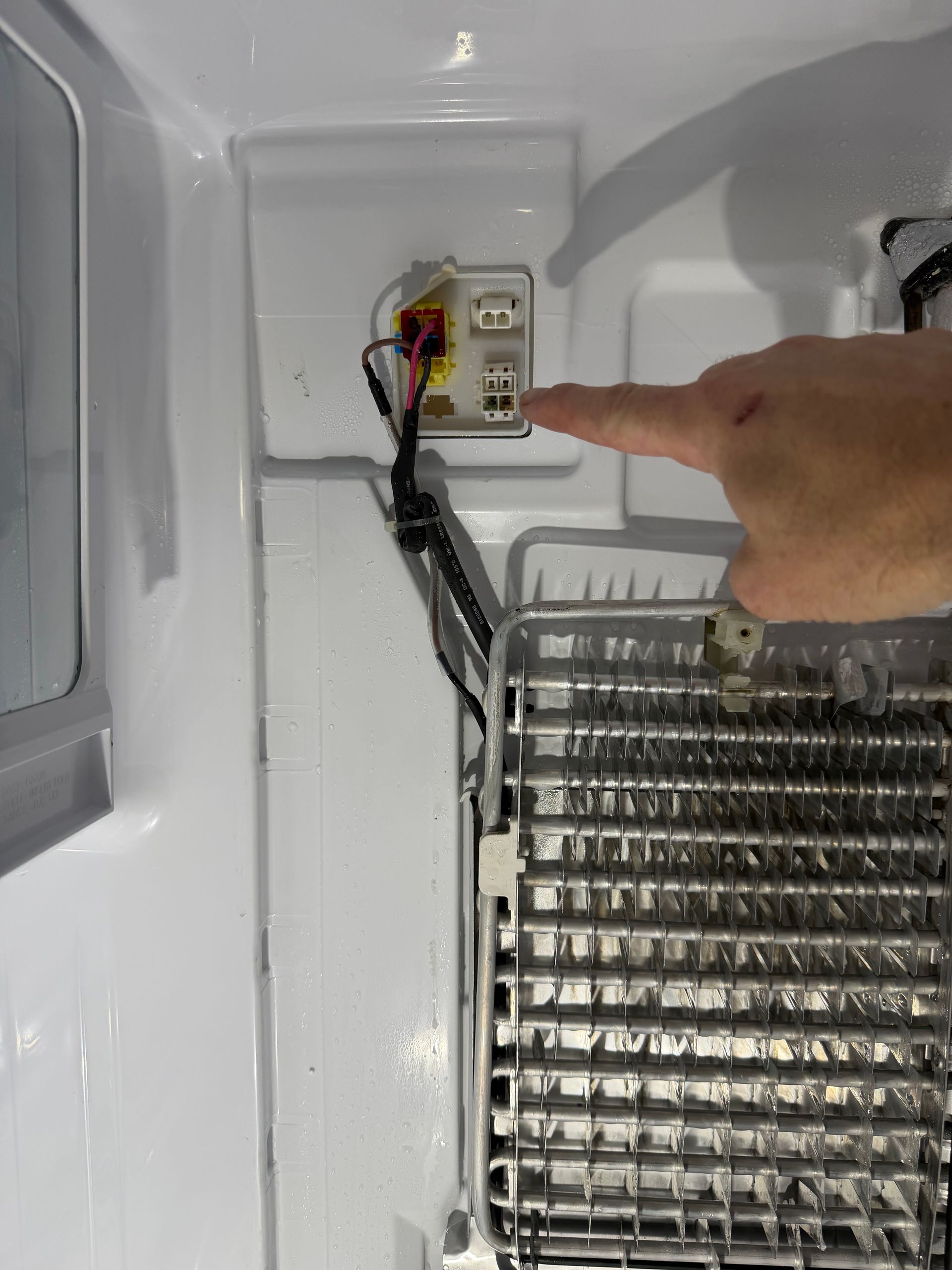 Hand pointing at a refrigerator’s interior electrical connector beside the cooling coils
