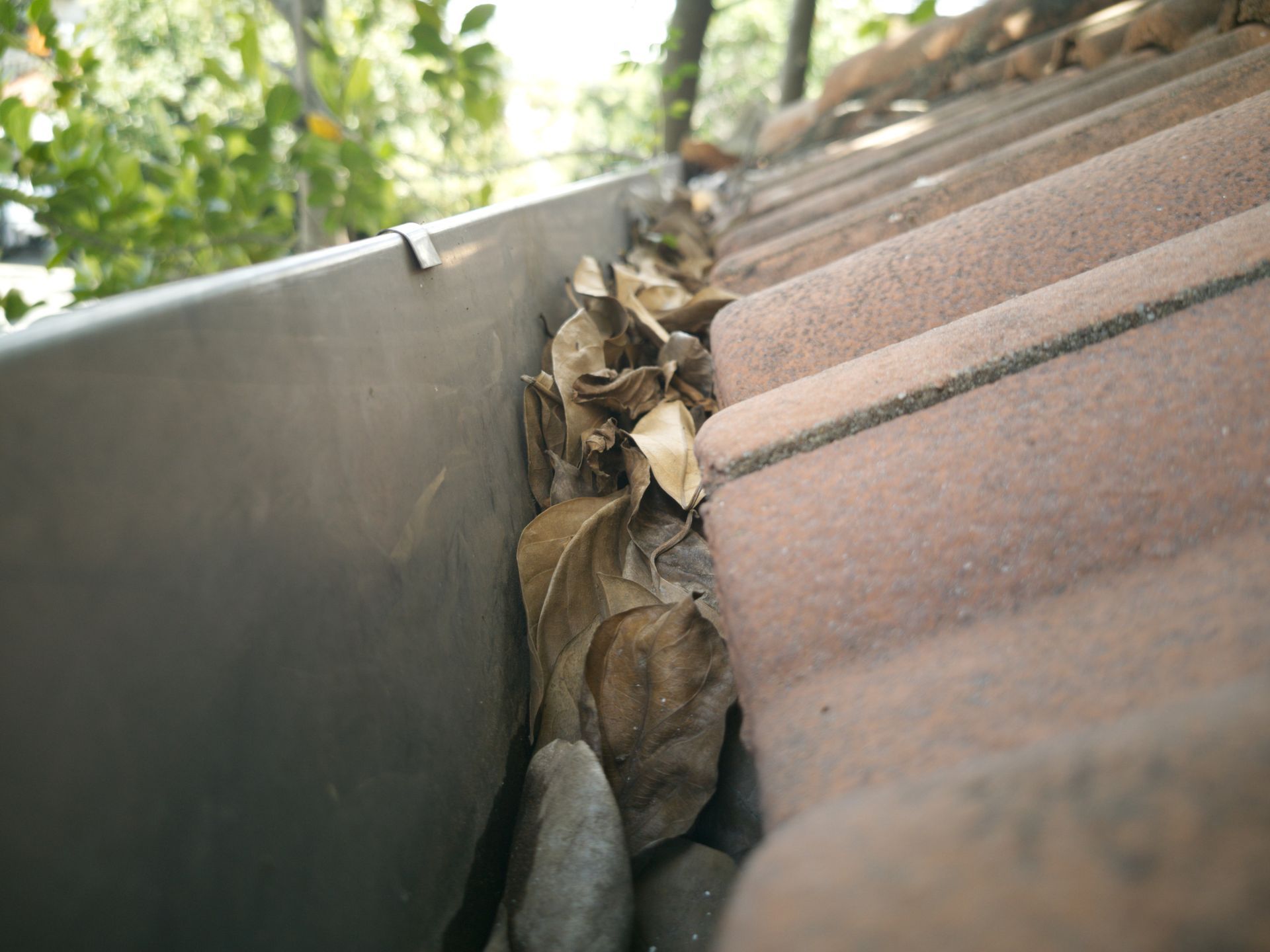 a gutter filled with leaves and rocks on a roof .