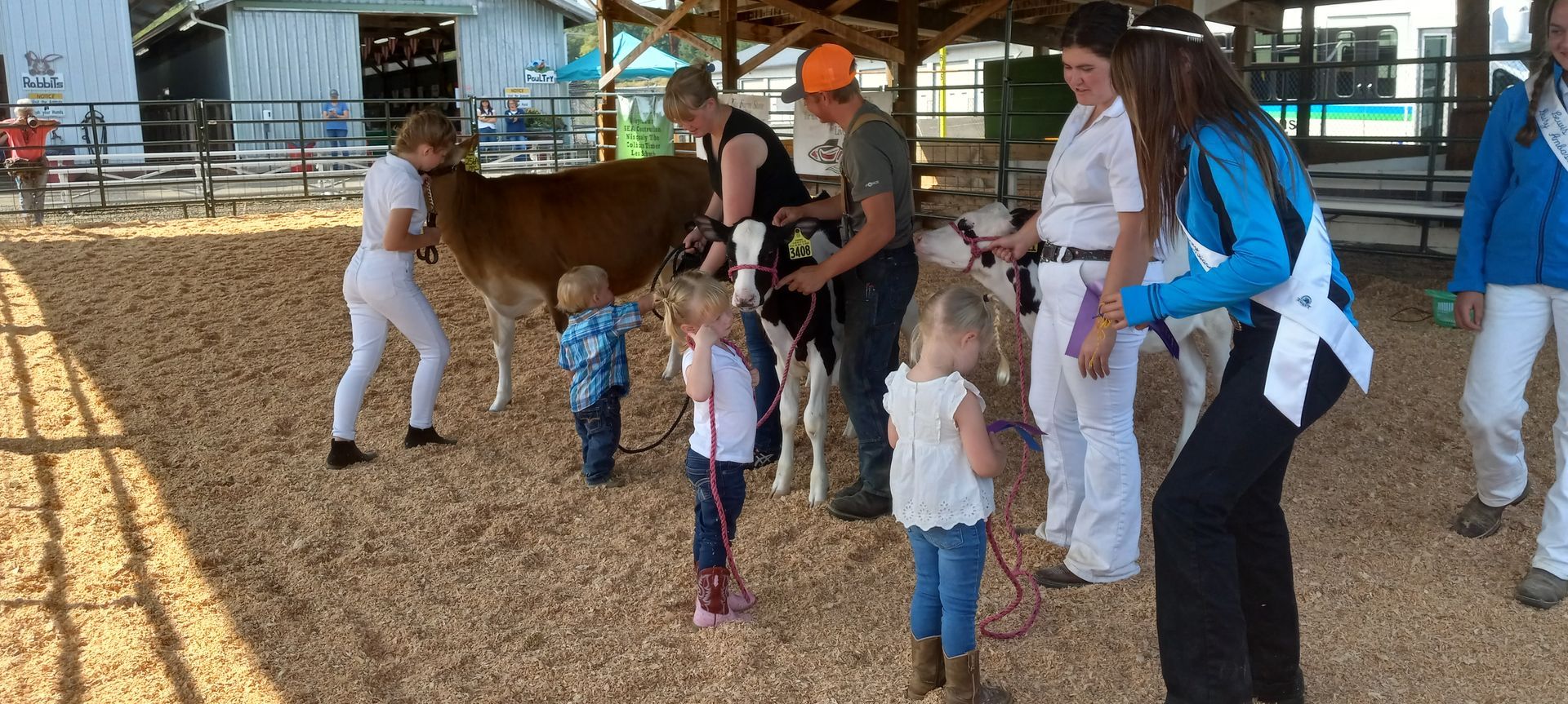 A group of people are standing around a cow in a pen.
