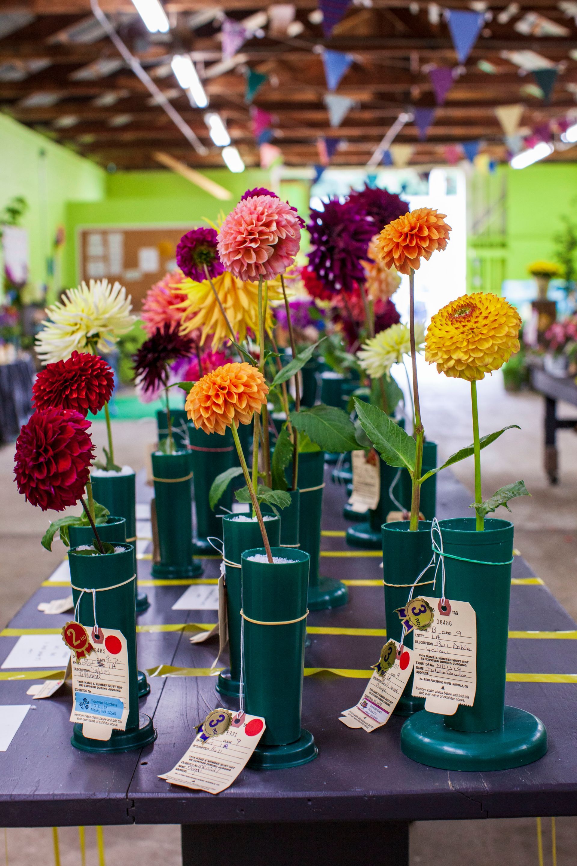 A bunch of vases filled with flowers are sitting on a table.