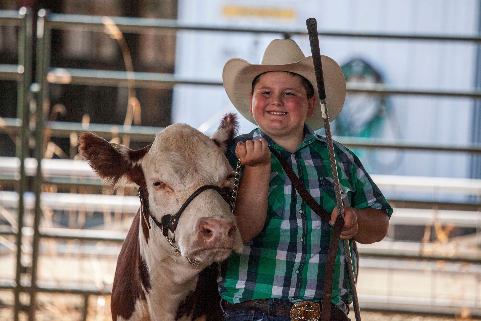 A young boy in a cowboy hat is holding a brown and white cow.