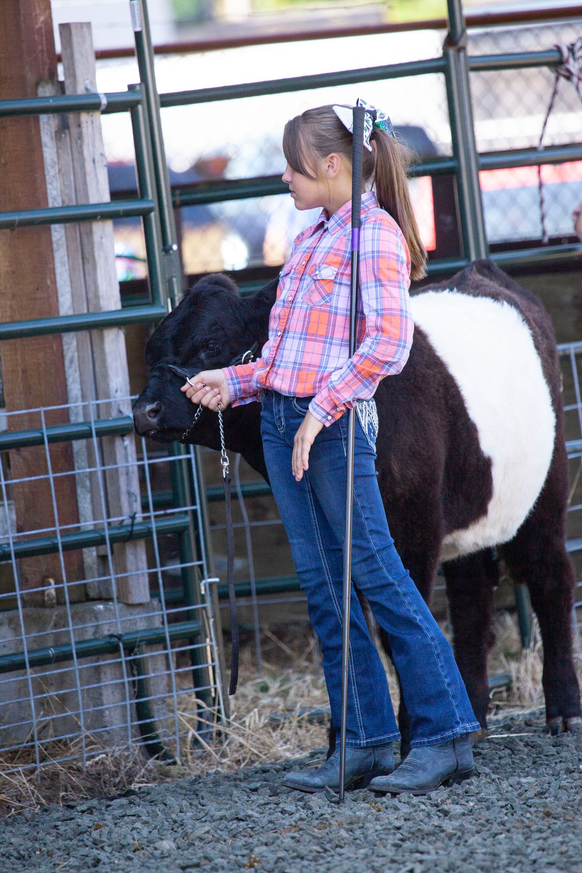 A young girl is standing next to a black and white cow in a pen.