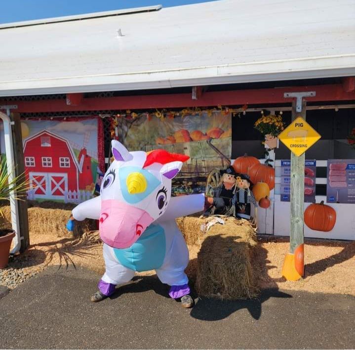 An inflatable unicorn is standing in front of a building