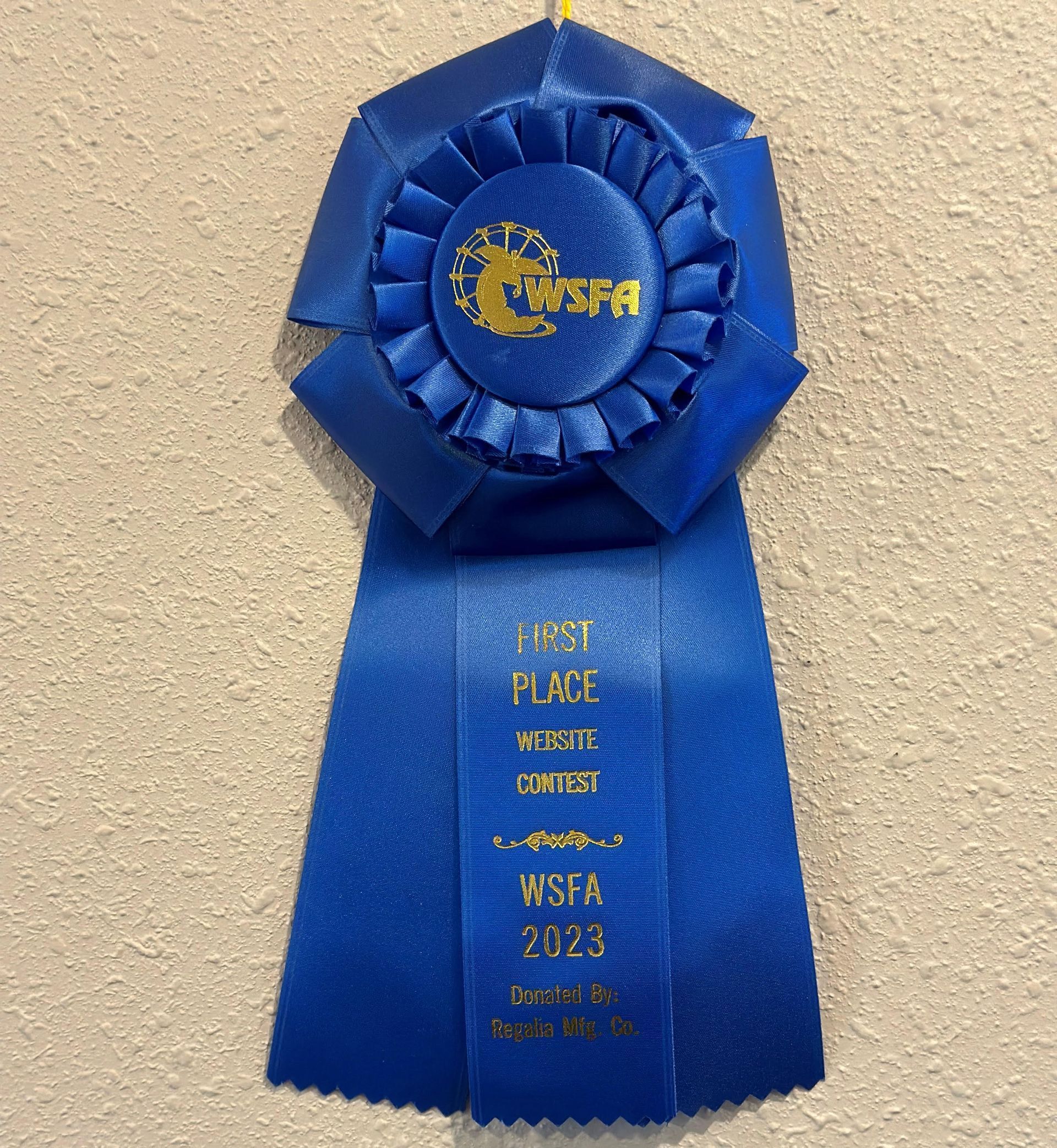 A blue ribbon is sitting on a white surface.