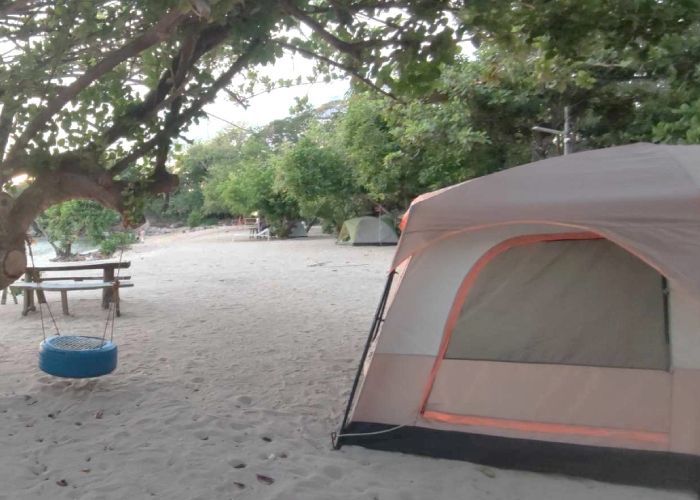 Beach campsite with tent, picnic table, and tire swing under trees.