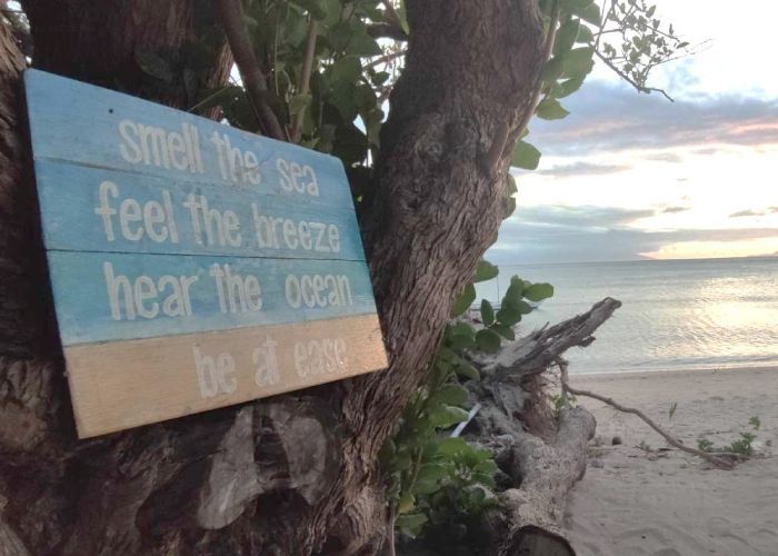Sign on tree: