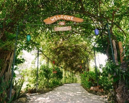Stone path through a lush green archway with a 