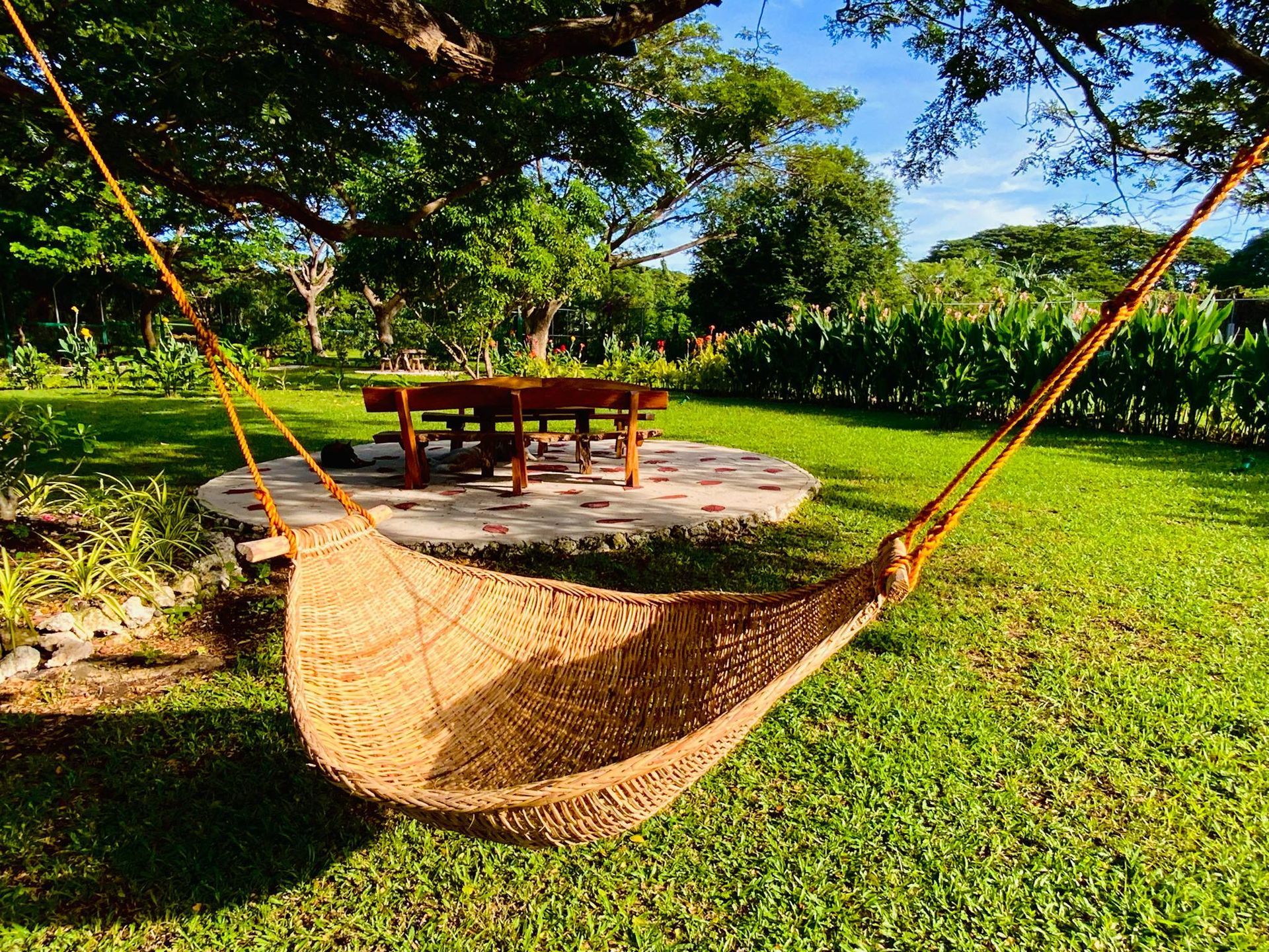 Woven hammock strung from tree, set in a sunny grassy yard, with a table and garden in background.