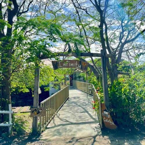 Wooden bridge with