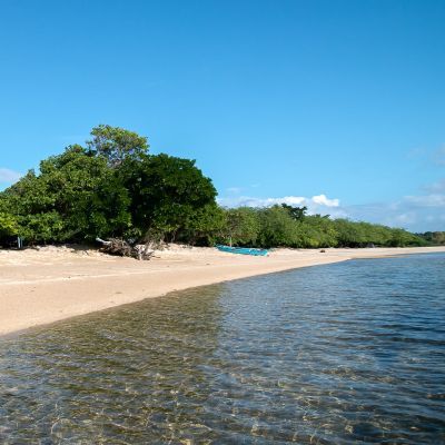 Sandy beach with clear water, trees, and blue sky.