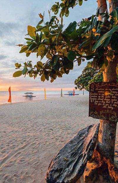 Beach at dusk with boats, sand, and tree with sign.