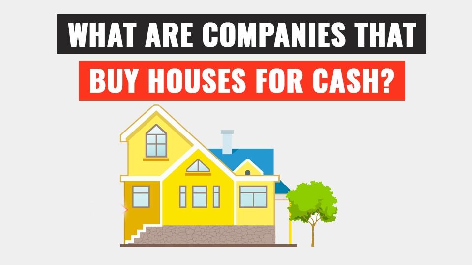 What are companies that buy houses for cash ?