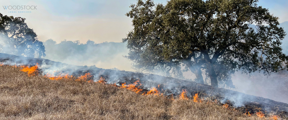 Wildfire burning across dry grassland toward oak trees, with smoke rising a scene raising fire liability question