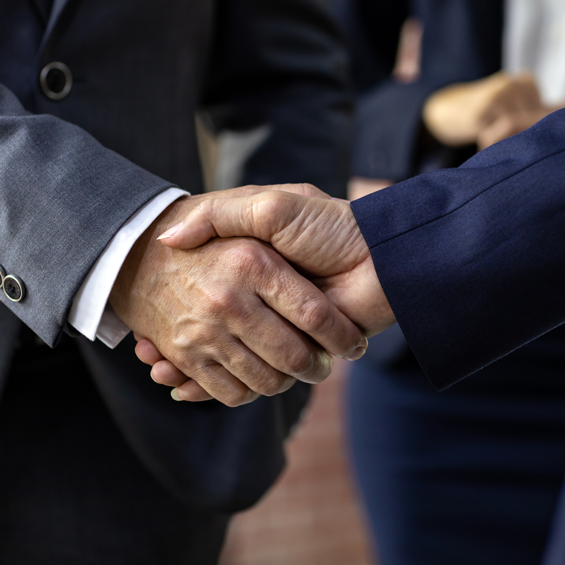 Smiling professional shaking hands in an office